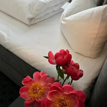 Ξενοδοχείο Ross Naehe Messe Στουτγκάρδη