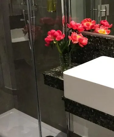 Hotel Ross 3*