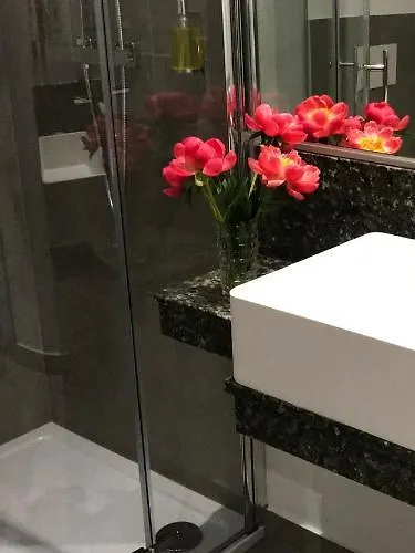 ホテル Ross Naehe Messe 3*